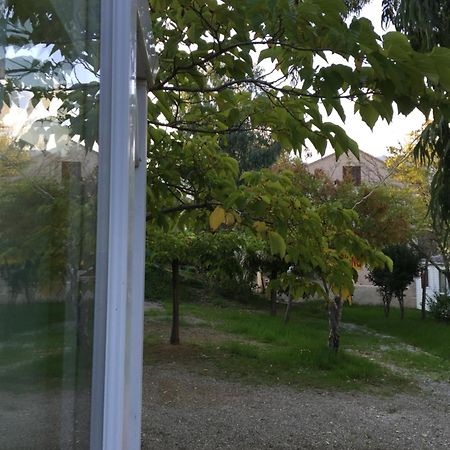 Camping les Orangers San-Martino-di-Lota Ruang foto