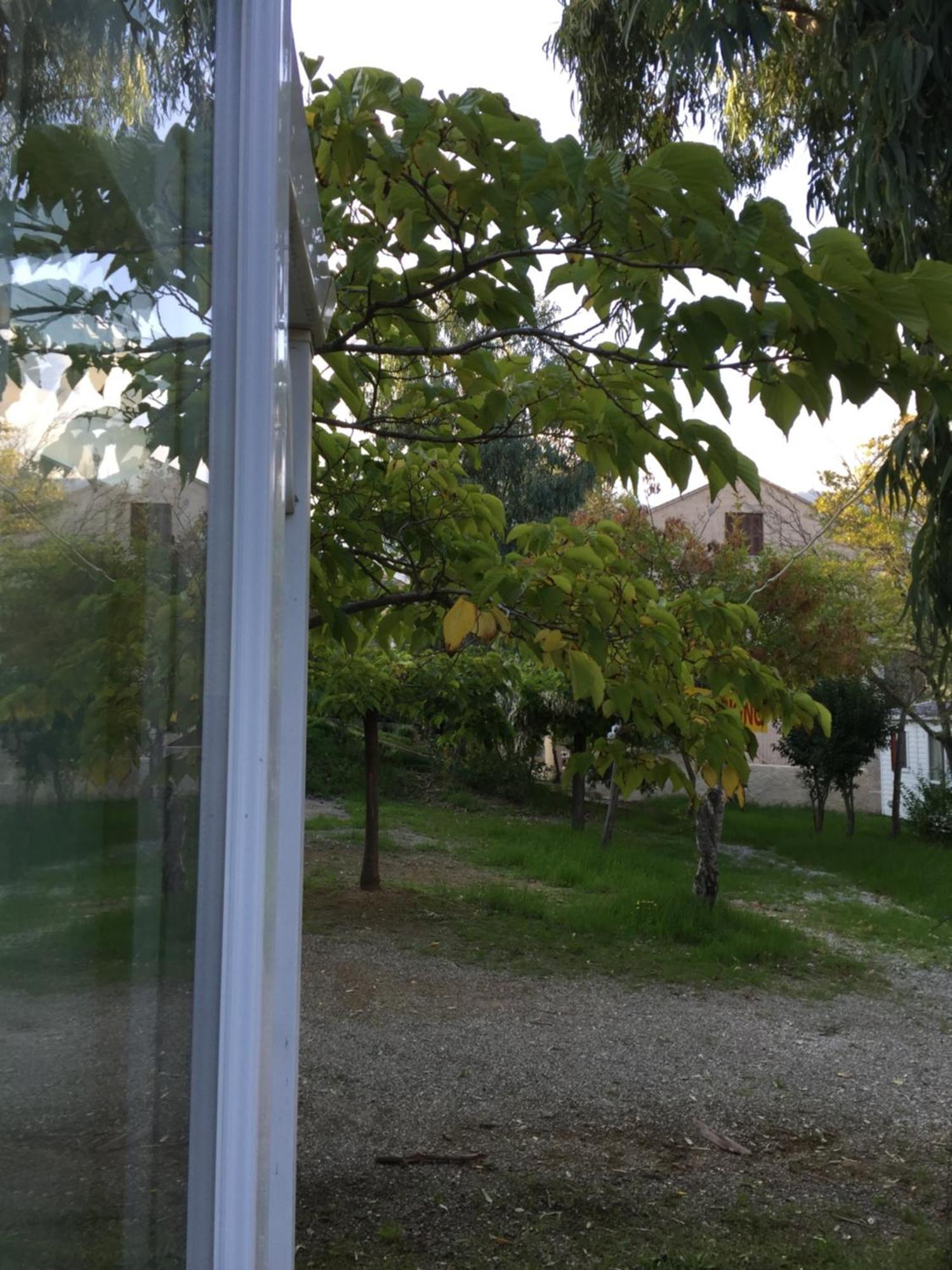 Camping les Orangers San-Martino-di-Lota Ruang foto