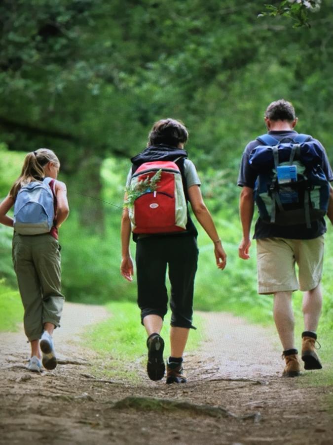 Camping les Orangers San-Martino-di-Lota Bagian luar foto