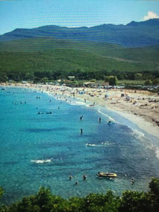 Camping les Orangers San-Martino-di-Lota Bagian luar foto