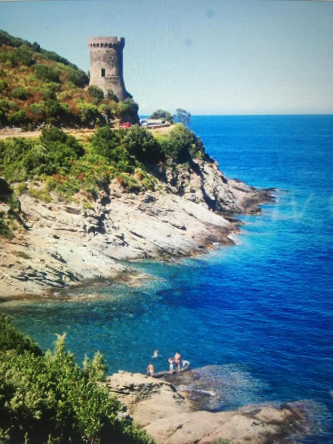 Camping les Orangers San-Martino-di-Lota Bagian luar foto