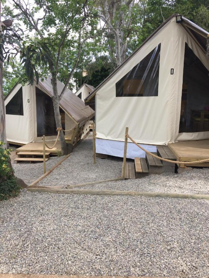 Camping les Orangers San-Martino-di-Lota Bagian luar foto